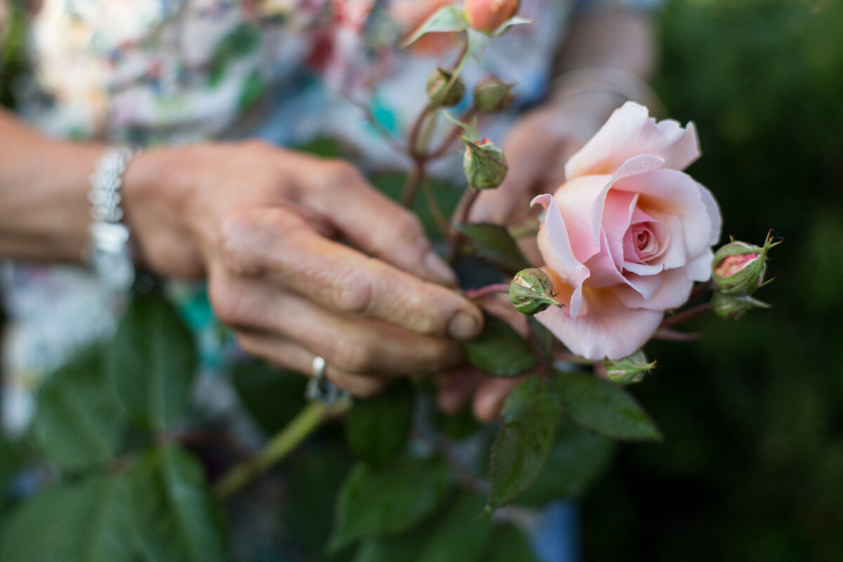 flower delivery Byron Bay